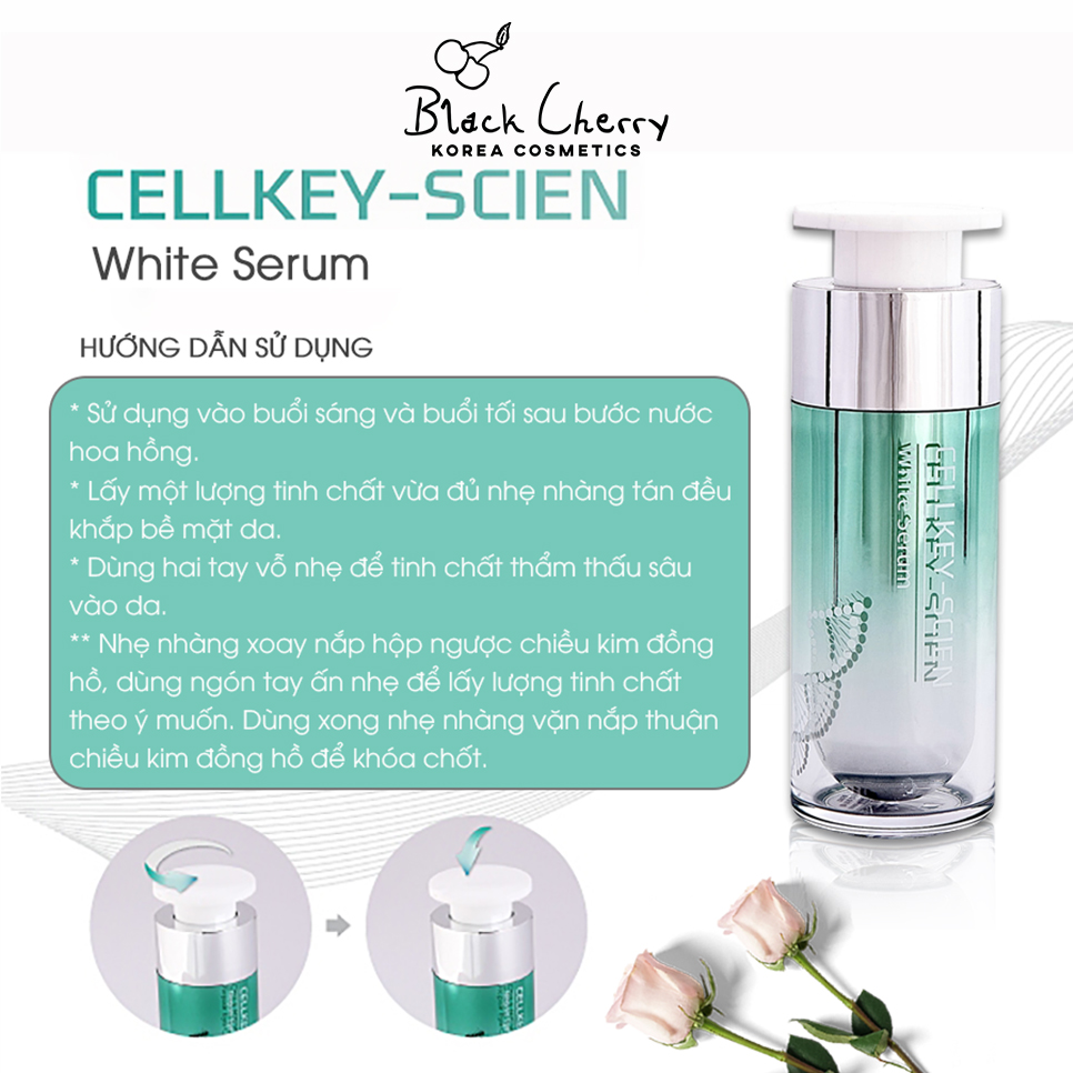 tinh-chat-te-bao-goc-cellkey-scien-05